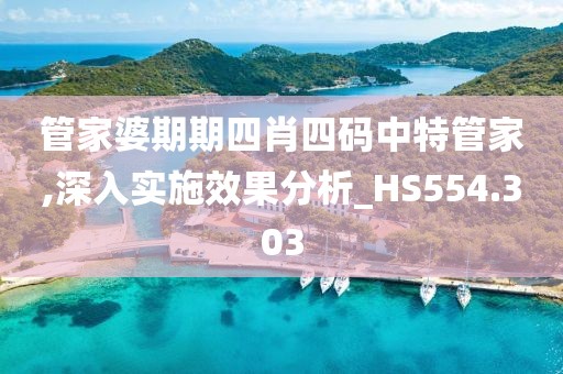 管家婆期期四肖四码中特管家,深入实施效果分析_HS554.303