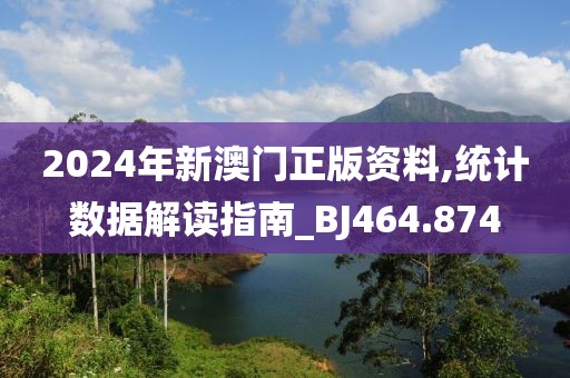 2024年新澳门正版资料,统计数据解读指南_BJ464.874