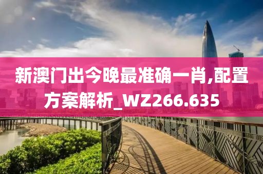 新澳门出今晚最准确一肖,配置方案解析_WZ266.635