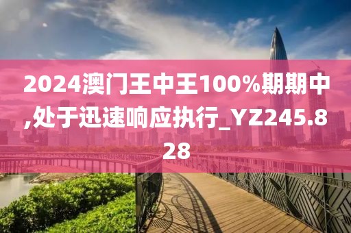 2024澳门王中王100%期期中,处于迅速响应执行_YZ245.828