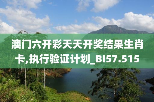 澳门六开彩天天开奖结果生肖卡,执行验证计划_BI57.515