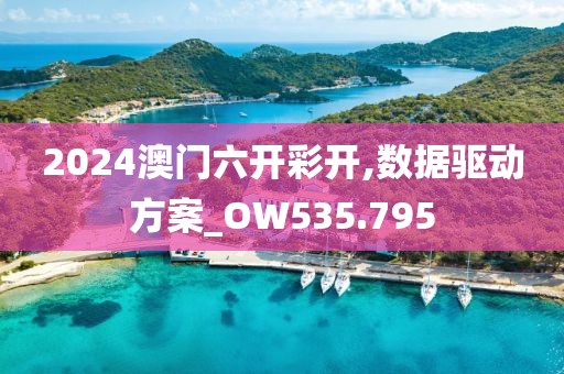 2024澳门六开彩开,数据驱动方案_OW535.795