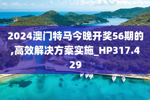 2024澳门特马今晚开奖56期的,高效解决方案实施_HP317.429