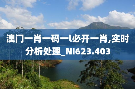 澳门一肖一码一l必开一肖,实时分析处理_NI623.403