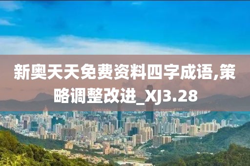 新奥天天免费资料四字成语,策略调整改进_XJ3.28