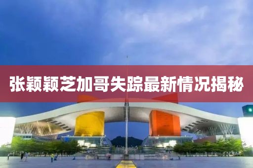 张颖颖芝加哥失踪最新情况揭秘