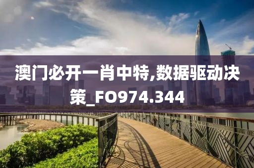 澳门必开一肖中特,数据驱动决策_FO974.344
