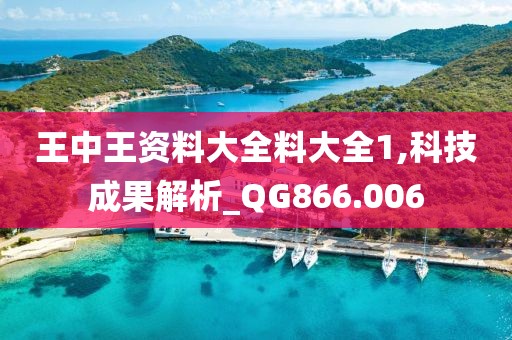 王中王资料大全料大全1,科技成果解析_QG866.006