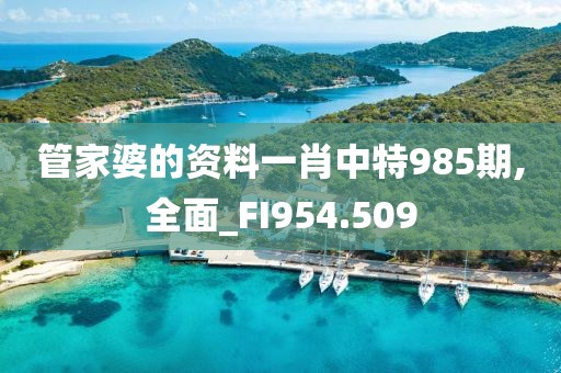 管家婆的资料一肖中特985期,全面_FI954.509
