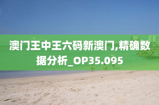 澳门王中王六码新澳门,精确数据分析_OP35.095