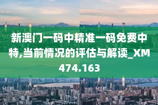 新澳门一码中精准一码免费中特,当前情况的评估与解读_XM474.163