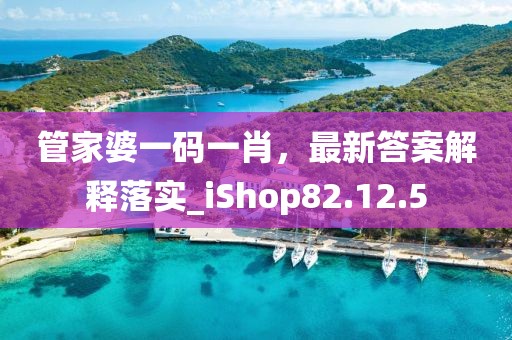 管家婆一码一肖，最新答案解释落实_iShop82.12.5