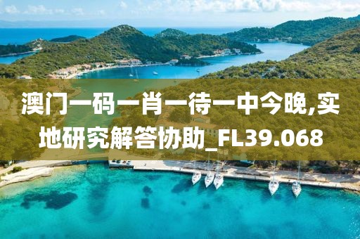 澳门一码一肖一待一中今晚,实地研究解答协助_FL39.068
