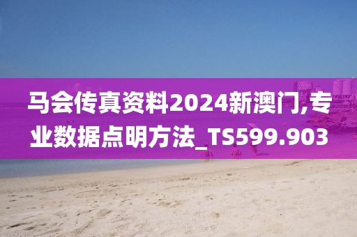 马会传真资料2024新澳门,专业数据点明方法_TS599.903