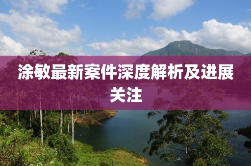 涂敏最新案件深度解析及进展关注