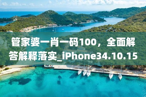 管家婆一肖一码100，全面解答解释落实_iPhone34.10.15
