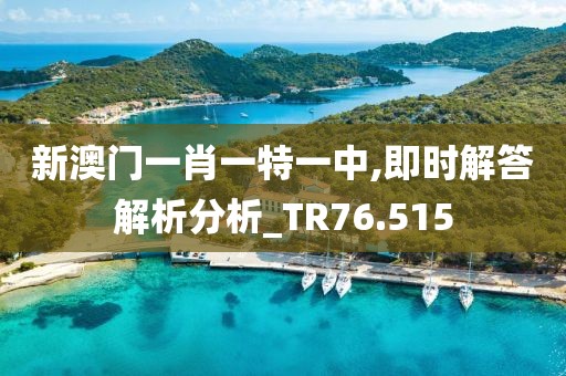 新澳门一肖一特一中,即时解答解析分析_TR76.515