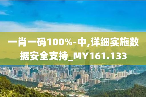 一肖一码100%-中,详细实施数据安全支持_MY161.133