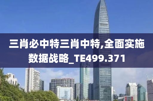 三肖必中特三肖中特,全面实施数据战略_TE499.371