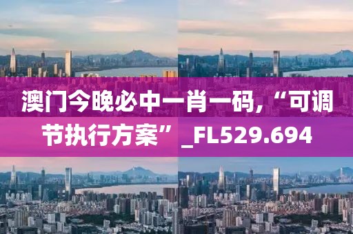澳门今晚必中一肖一码,“可调节执行方案”_FL529.694