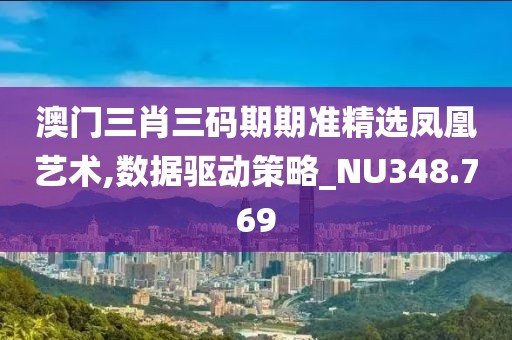 澳门三肖三码期期准精选凤凰艺术,数据驱动策略_NU348.769