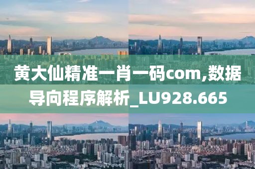 黄大仙精准一肖一码com,数据导向程序解析_LU928.665