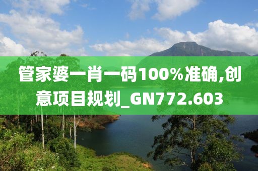 管家婆一肖一码100%准确,创意项目规划_GN772.603
