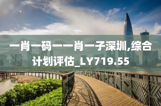 一肖一码一一肖一子深圳,综合计划评估_LY719.55