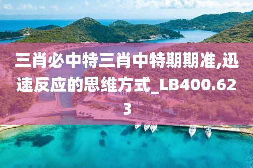 三肖必中特三肖中特期期准,迅速反应的思维方式_LB400.623