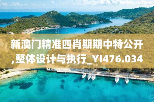新澳门精准四肖期期中特公开,整体设计与执行_YI476.034