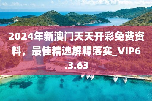 2024年新澳门天天开彩免费资料，最佳精选解释落实_VIP6.3.63