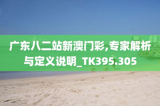 广东八二站新澳门彩,专家解析与定义说明_TK395.305