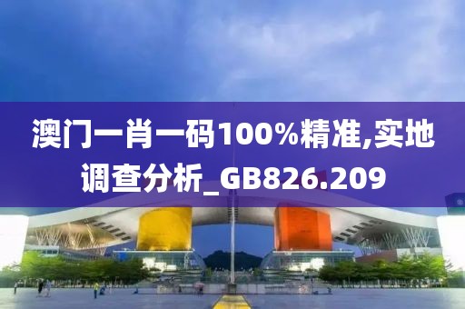 澳门一肖一码100%精准,实地调查分析_GB826.209