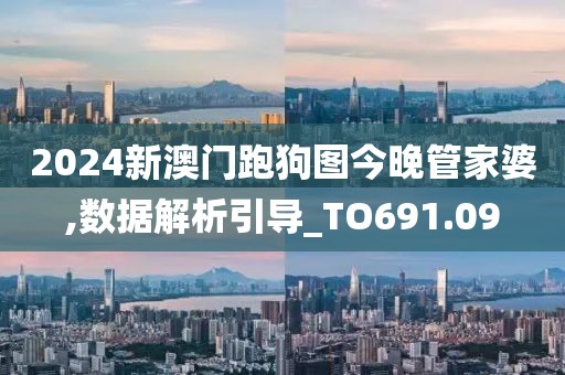 2024新澳门跑狗图今晚管家婆,数据解析引导_TO691.09