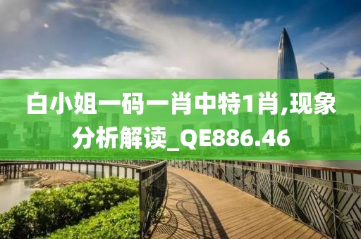 白小姐一码一肖中特1肖,现象分析解读_QE886.46