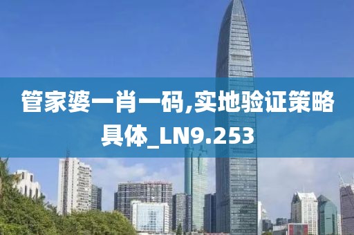 管家婆一肖一码,实地验证策略具体_LN9.253