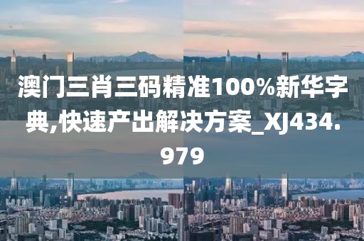 澳门三肖三码精准100%新华字典,快速产出解决方案_XJ434.979
