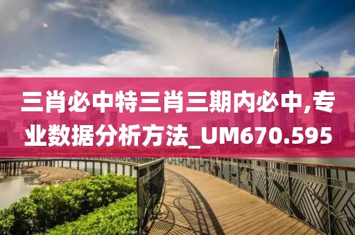 三肖必中特三肖三期内必中,专业数据分析方法_UM670.595