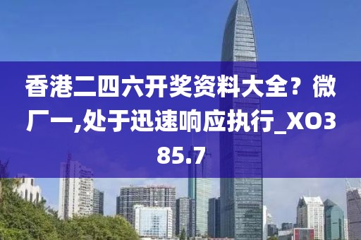香港二四六开奖资料大全？微厂一,处于迅速响应执行_XO385.7