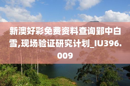 新澳好彩免费资料查询郢中白雪,现场验证研究计划_IU396.009
