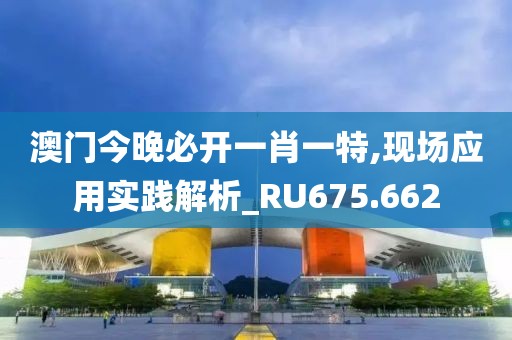 澳门今晚必开一肖一特,现场应用实践解析_RU675.662