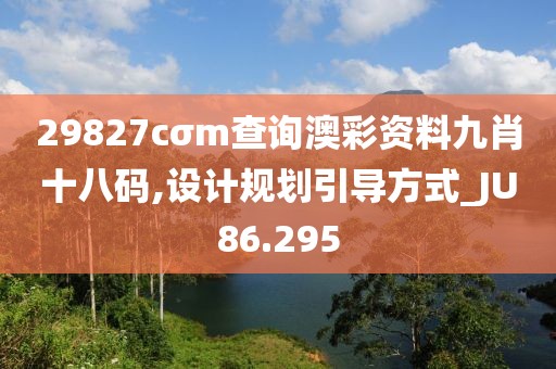 29827cσm查询澳彩资料九肖十八码,设计规划引导方式_JU86.295