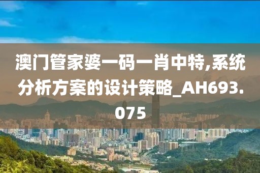 澳门管家婆一码一肖中特,系统分析方案的设计策略_AH693.075