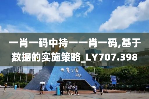 一肖一码中持一一肖一码,基于数据的实施策略_LY707.398