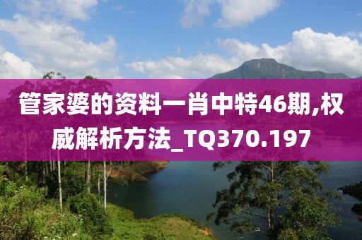 管家婆的资料一肖中特46期,权威解析方法_TQ370.197