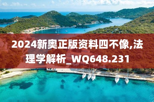 2024新奥正版资料四不像,法理学解析_WQ648.231