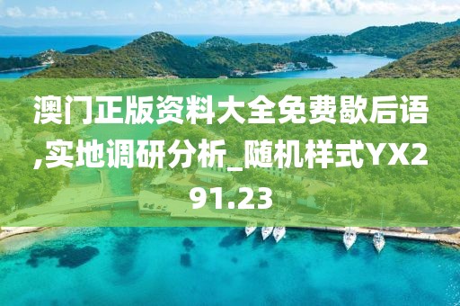 澳门正版资料大全免费歇后语,实地调研分析_随机样式YX291.23
