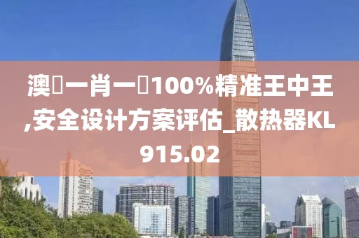 澳門一肖一碼100%精准王中王,安全设计方案评估_散热器KL915.02
