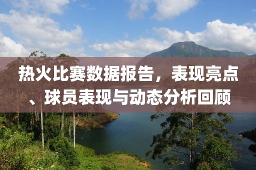 热火比赛数据报告，表现亮点、球员表现与动态分析回顾