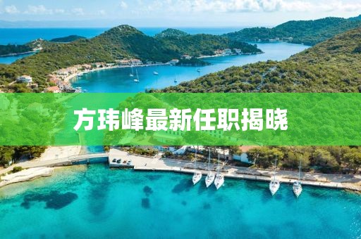 方玮峰最新任职揭晓